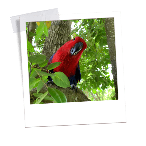 Petting Zoo Puerto Plata