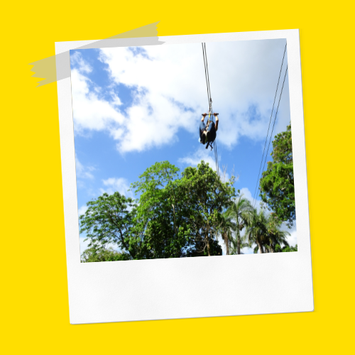 Zip Line frame 2